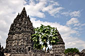 Prambanan - Candi Lara Jonggrang, the Shiva Temple 